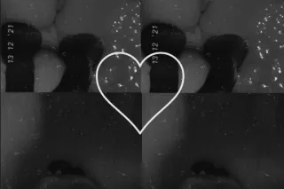 OUTCALL ONLY 💕 SEXY UPSCALE BB... - Image 4