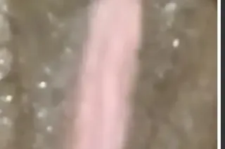 I HAVE THE BEST WET DEEP THROA... - Image 3